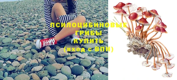 ешки Алексеевка