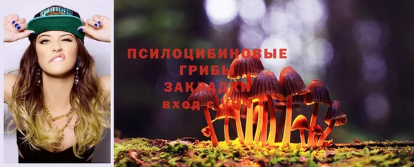 таблы Алзамай